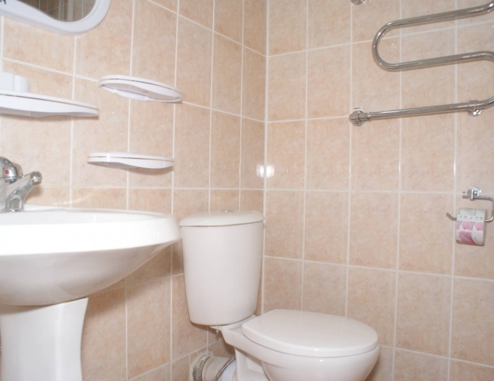 Стандарт двухместный - Санаторий «Белая Русь» Беларусь